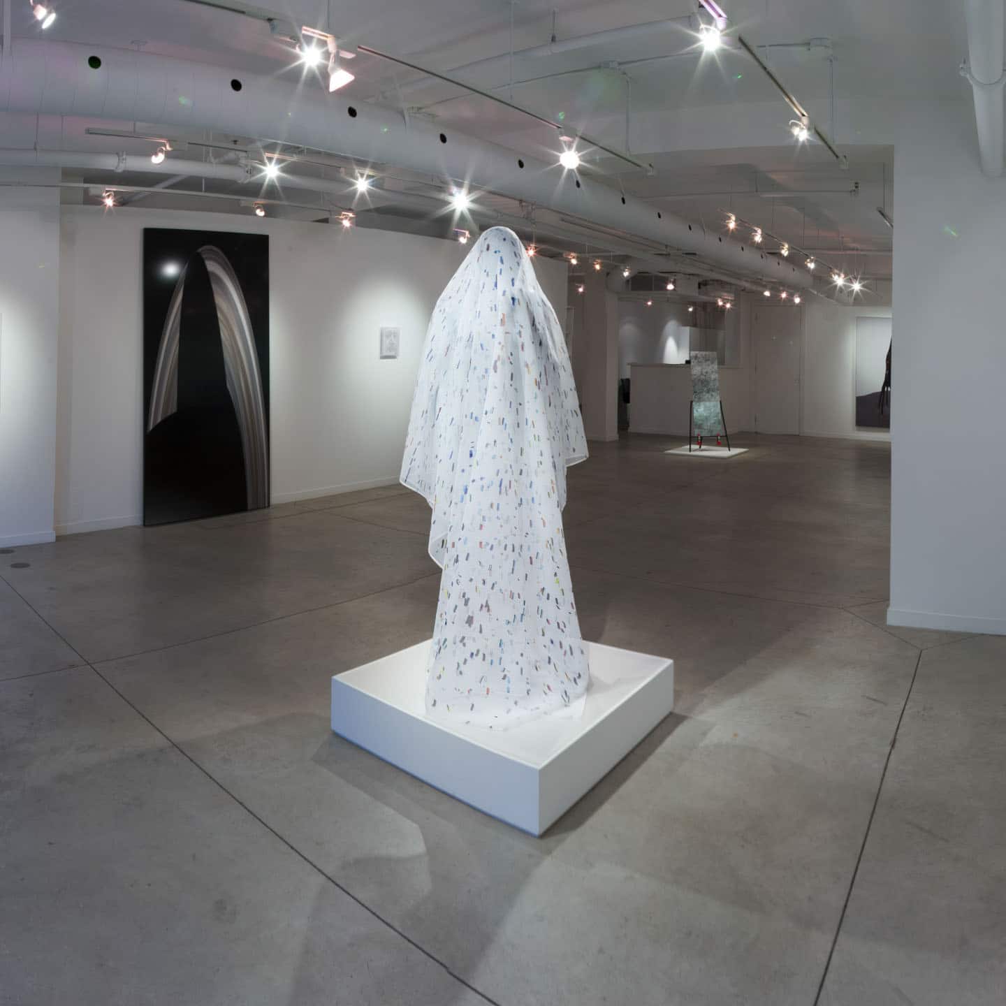 Install at Dry Pixels and Wet Molecules, O'Born Contemporary